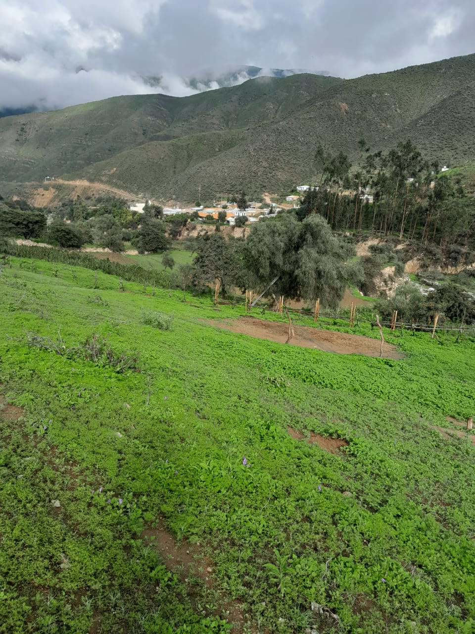 Saneamiento y Registros de Predios